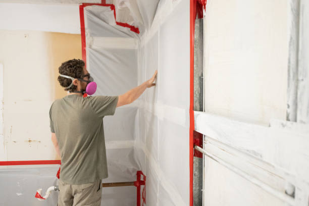 Best Mold Damage Restoration  in Bear Creek, AK